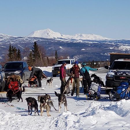 Denali Wild Stay - Bear Cabin With Hot Tub And Free Wifi, Private, Sleep 6 Healy Exterior photo