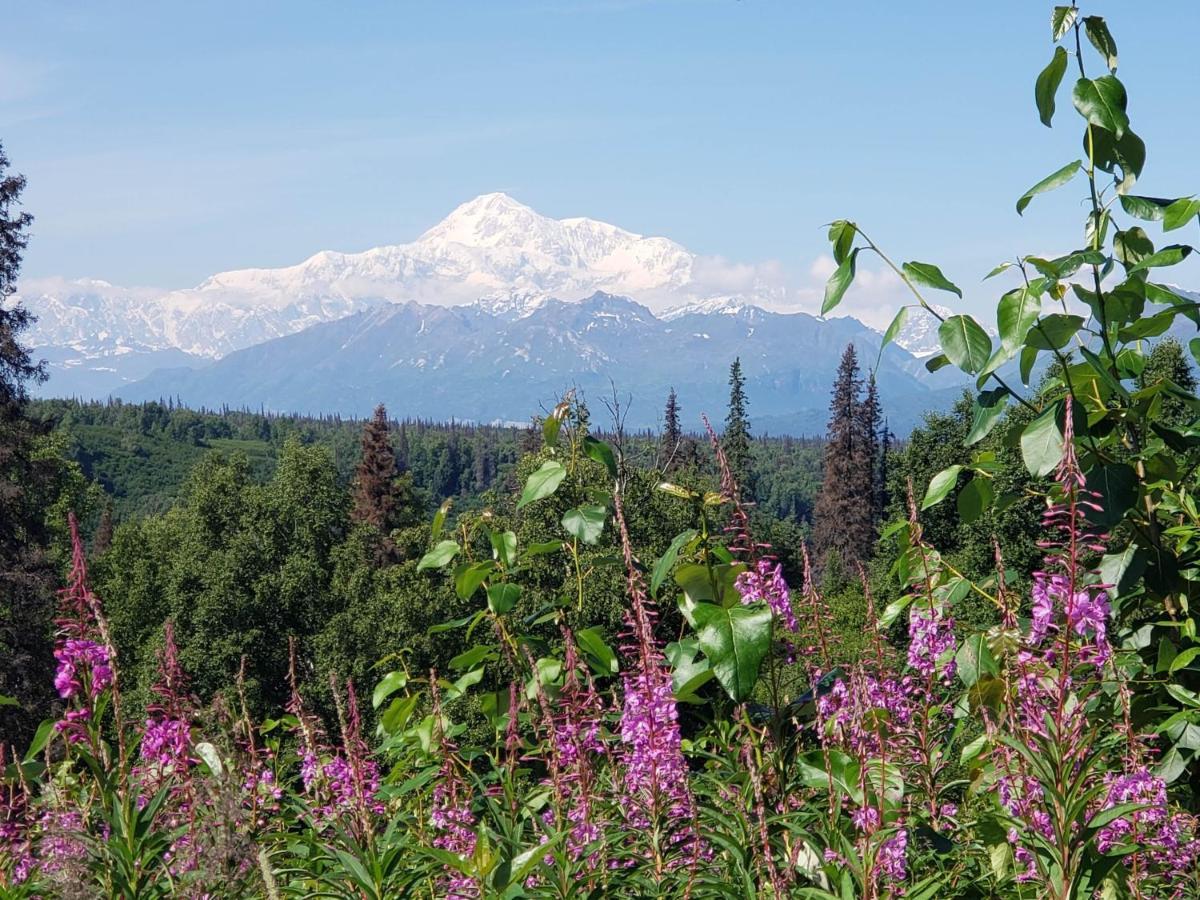 Denali Wild Stay - Bear Cabin With Hot Tub And Free Wifi, Private, Sleep 6 Healy Exterior photo