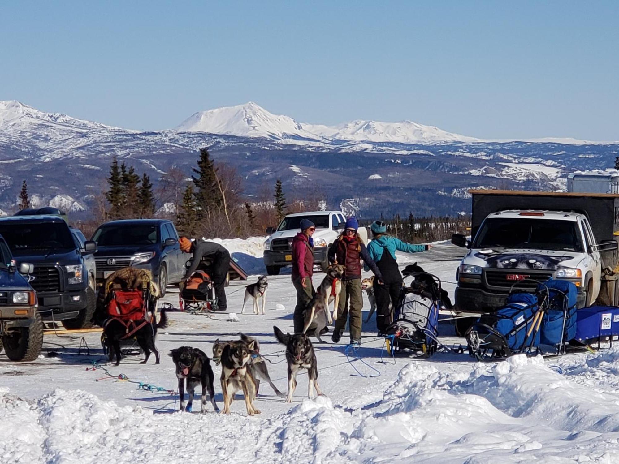 Denali Wild Stay - Bear Cabin With Hot Tub And Free Wifi, Private, Sleep 6 Healy Exterior photo