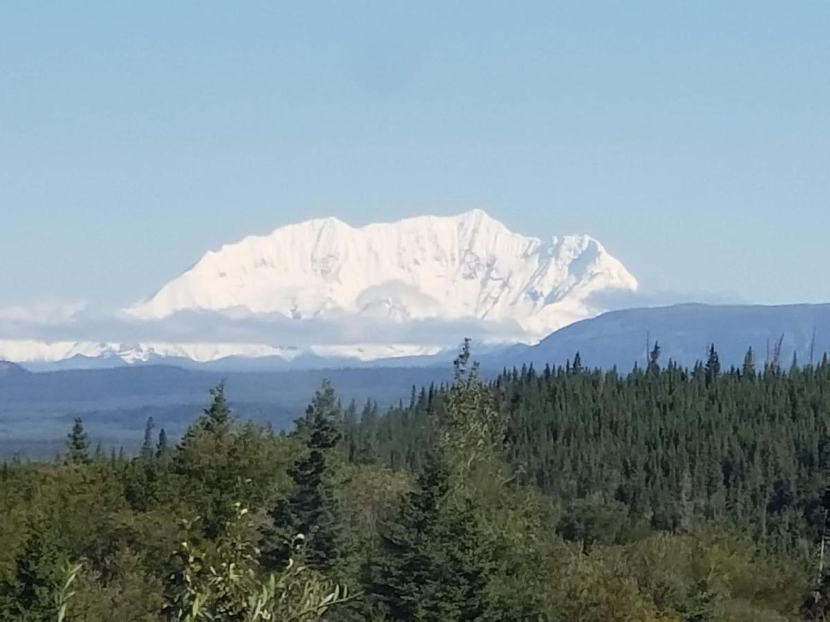 Denali Wild Stay - Bear Cabin With Hot Tub And Free Wifi, Private, Sleep 6 Healy Exterior photo