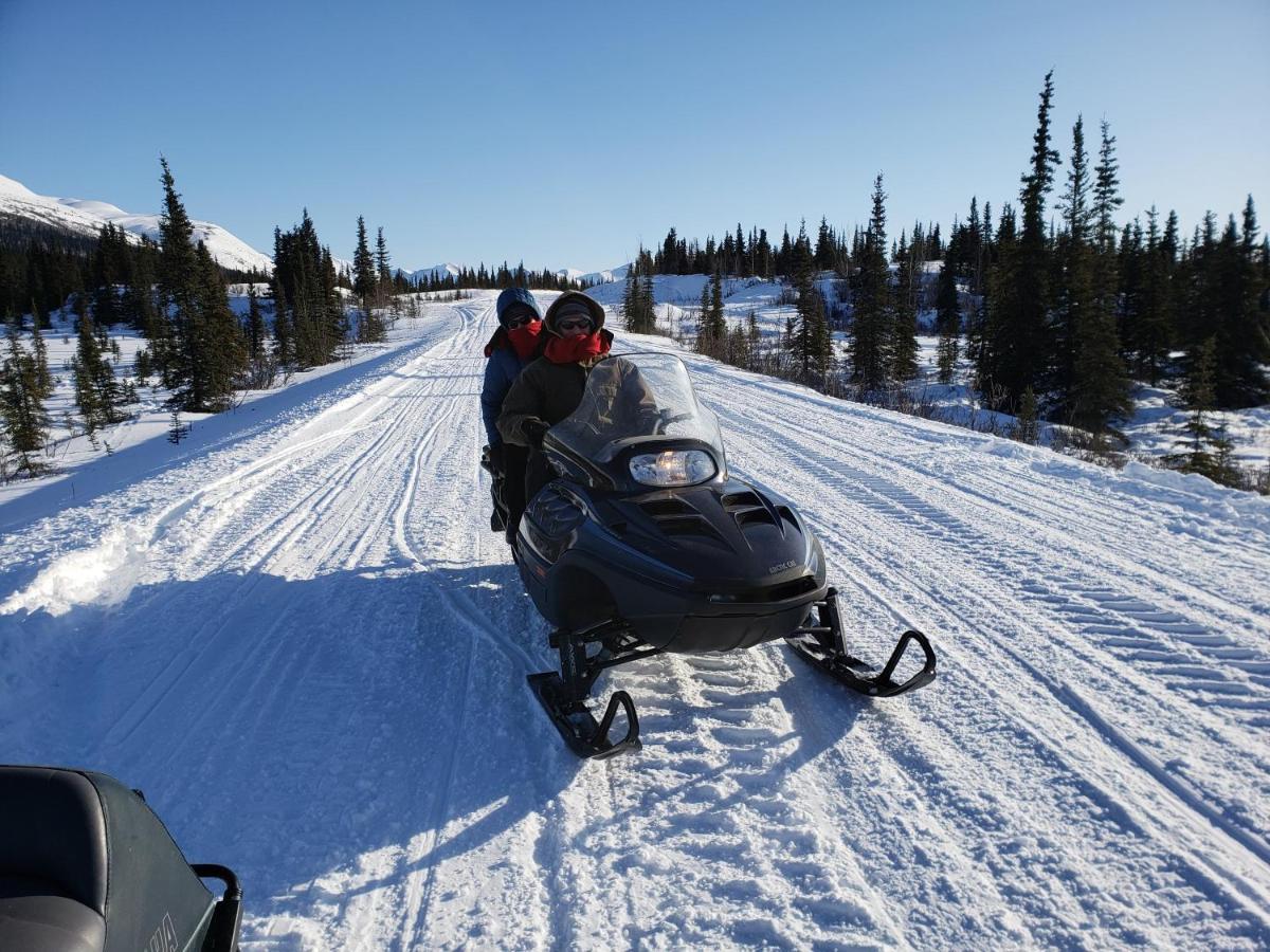 Denali Wild Stay - Bear Cabin With Hot Tub And Free Wifi, Private, Sleep 6 Healy Exterior photo