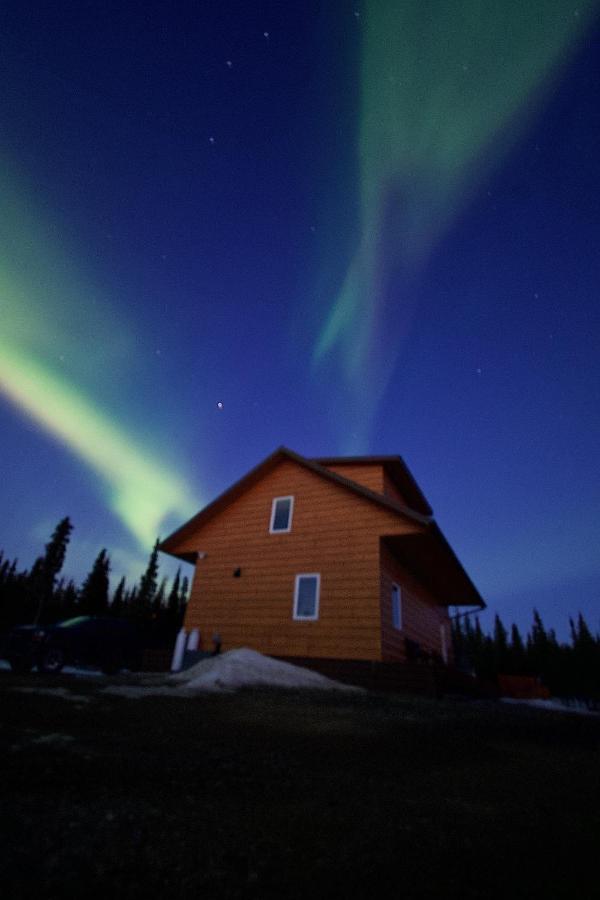 Denali Wild Stay - Bear Cabin With Hot Tub And Free Wifi, Private, Sleep 6 Healy Exterior photo