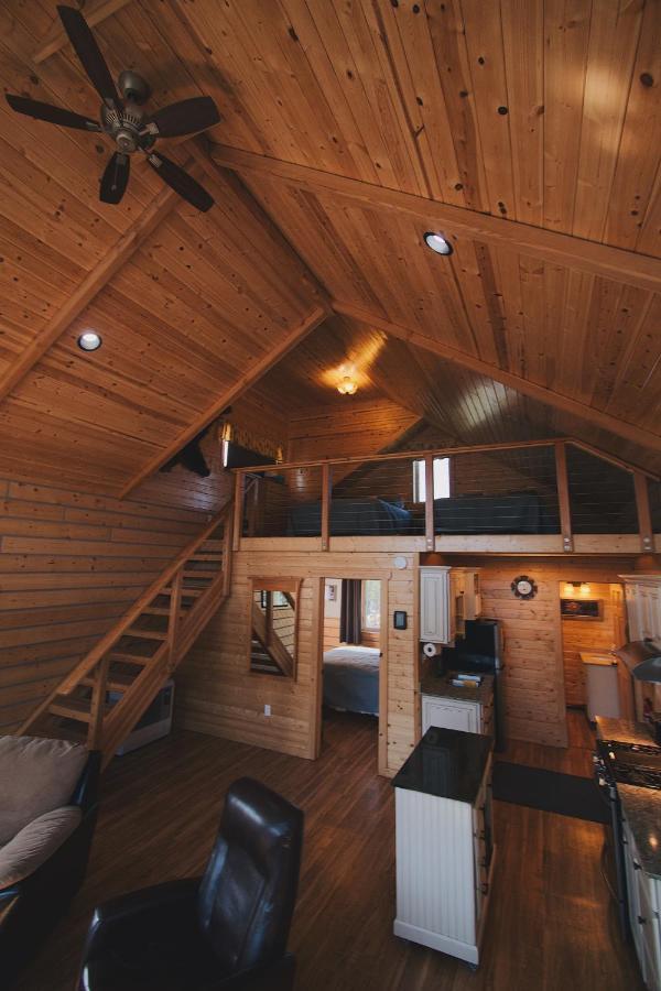 Denali Wild Stay - Bear Cabin With Hot Tub And Free Wifi, Private, Sleep 6 Healy Exterior photo