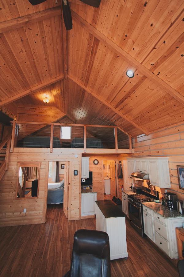 Denali Wild Stay - Bear Cabin With Hot Tub And Free Wifi, Private, Sleep 6 Healy Exterior photo