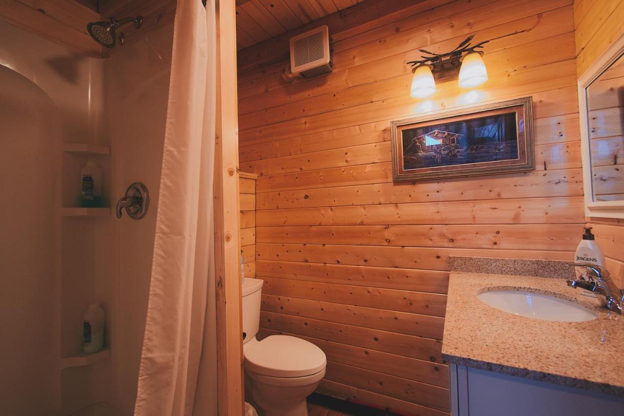 Denali Wild Stay - Bear Cabin With Hot Tub And Free Wifi, Private, Sleep 6 Healy Exterior photo