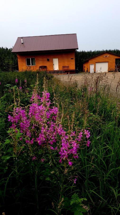 Denali Wild Stay - Bear Cabin With Hot Tub And Free Wifi, Private, Sleep 6 Healy Exterior photo